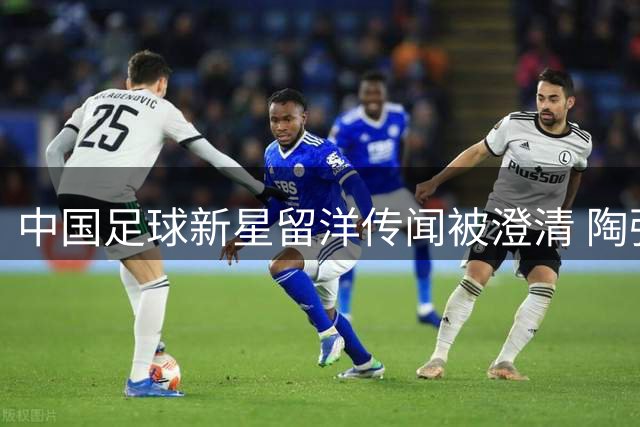 中国足球新星留洋传闻被澄清 陶强龙替补奇兵表现引关注