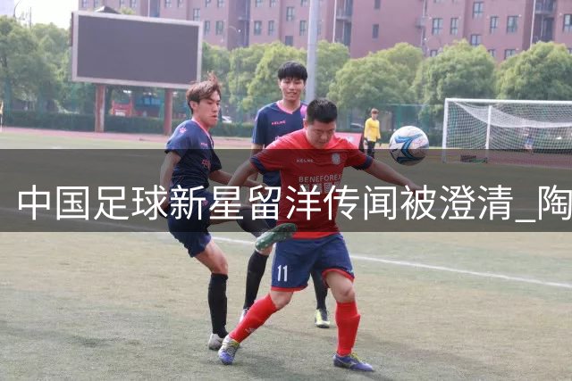中国足球新星留洋传闻被澄清 陶强龙替补奇兵表现引关注
