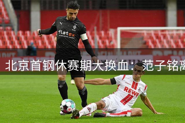 北京首钢休赛期大换血：范子铭离队，赵睿留守，李楠接任主帅