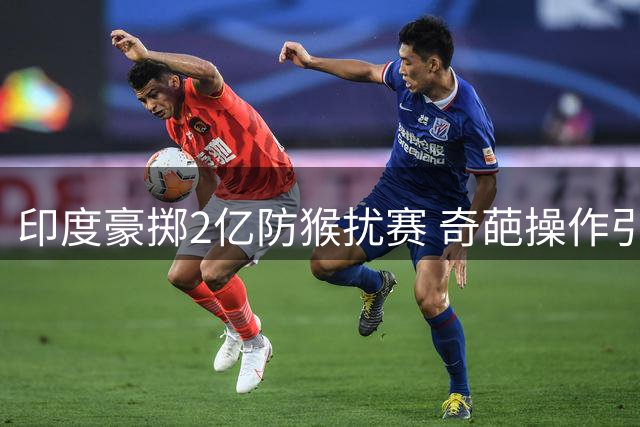 印度豪掷2亿防猴扰赛 奇葩操作引全球热议