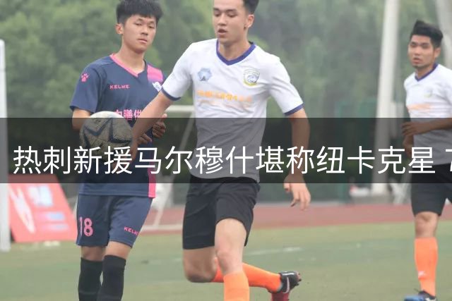 热刺新援马尔穆什堪称纽卡克星 7次破门含3项赛事进球